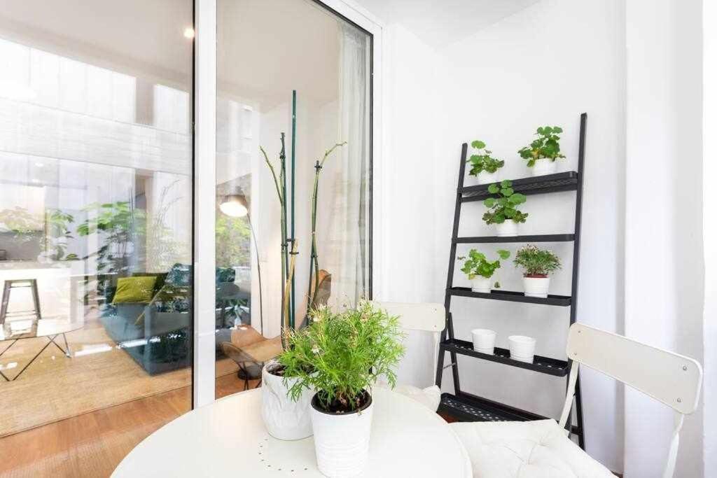 Sabino Dreams Santa Cruz Apartment Bagian luar foto